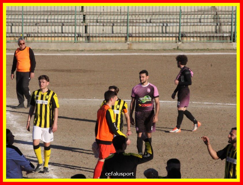 190310 Cephal_Torrenov 210_tn.jpg